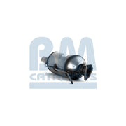 BM Catalysts Dpf BM11198