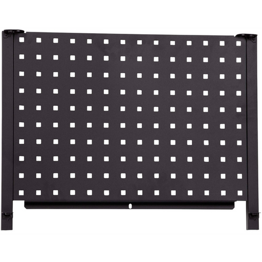 Sealey Back Board
