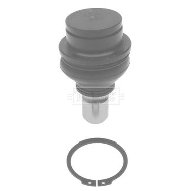Borg & Beck Ball Joint Rear Left BBJ5662