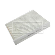 Borg & Beck Cabin Air Filter (Pollen Filter) BFC1134