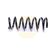 NAPA Rear Suspension Coil Spring NCS2290
