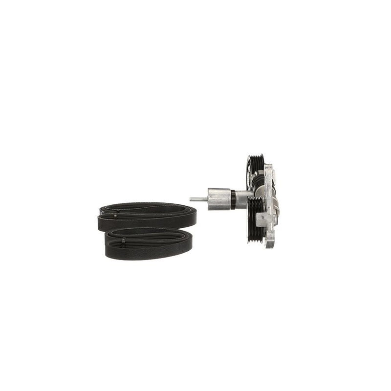 Gates V-Ribbed Belt Set K035PK1435