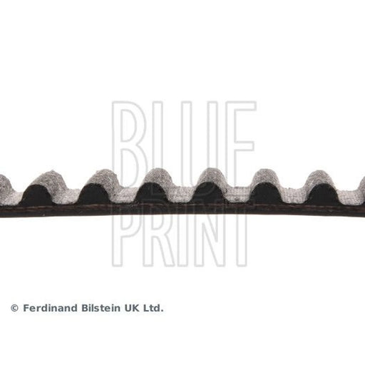 Blue Print Timing Belt Cambelt 101 Teeth ADM57526