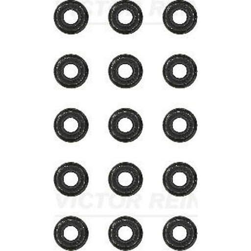 Victor Reinz Valve Stem Seal Set ID High 12-31306-10