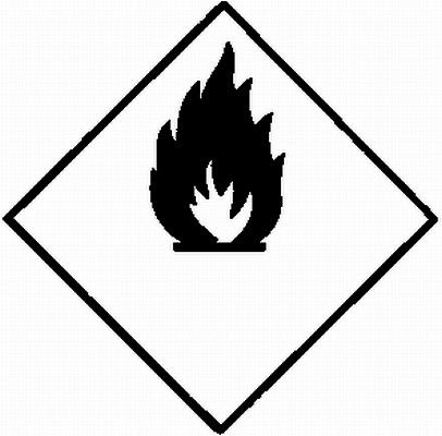 Hella 2BA 964 169-501 Direction Indicator