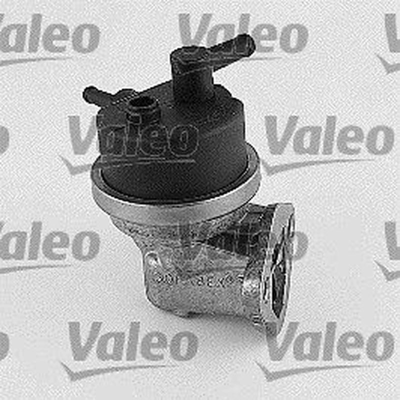 Valeo Fuel Pump Assembly 247063