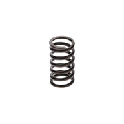 Bosch Compression Spring 9 411 034 621