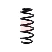 Apec Rear Suspension Coil Spring ACS2316