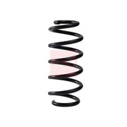 Apec 2 x Suspension Springs ACS2316