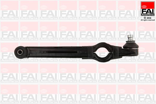 FAI Control/Trailing Arm