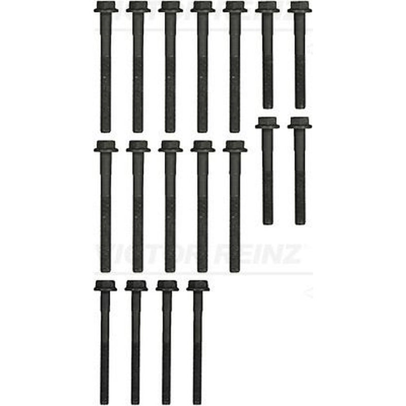 Victor Reinz Cylinder Head Bolt Set 14-32256-01