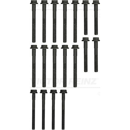 Victor Reinz Cylinder Head Bolt Set 14-32256-01