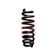 Apec Rear Suspension Coil Spring ACS1717