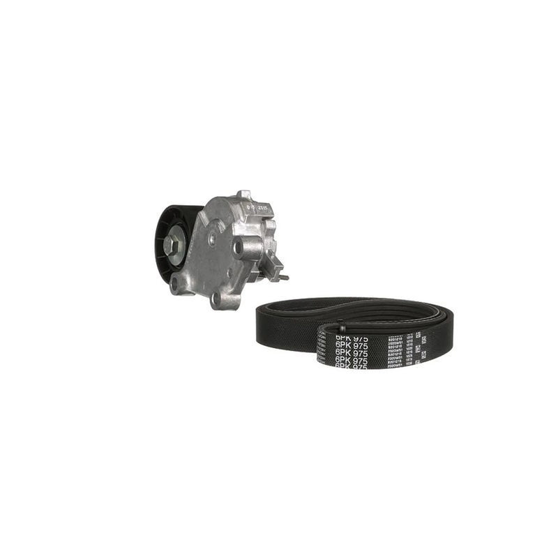 Gates V-Ribbed Belt Set K026PK975