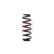 Apec Front & Rear Suspension Springs ACS1391