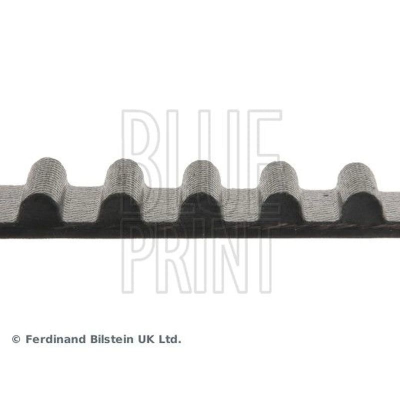 Blue Print Timing Belt Cambelt 113 Teeth ADT37507