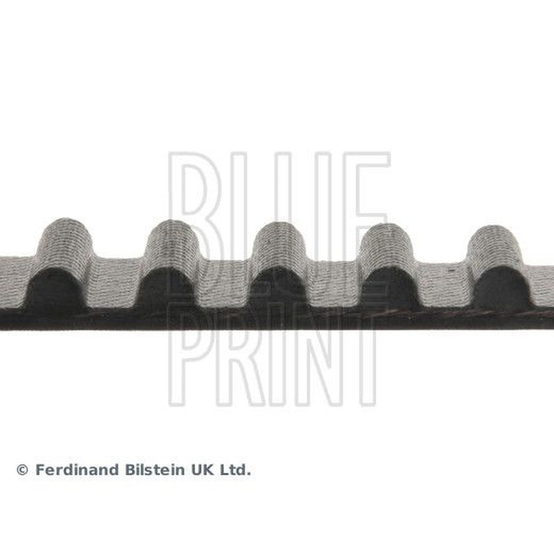 Blue Print Timing Belt Cambelt 113 Teeth ADT37507