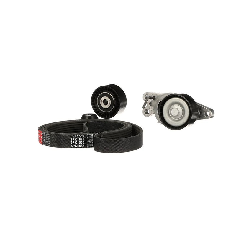Gates V-Ribbed Belt Set K036PK1565