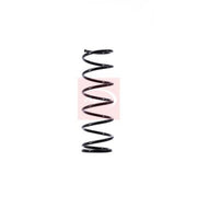 Apec 2 x Suspension Springs ACS1475