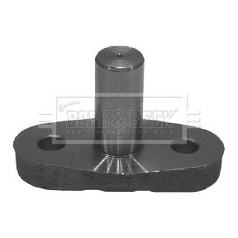 Borg & Beck Steering Kingpin BKP5831