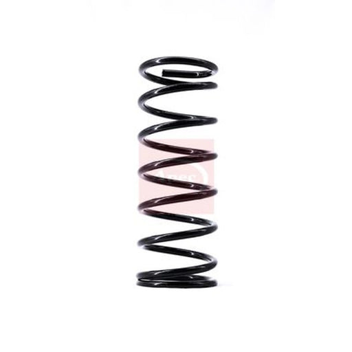 Apec Front Right Suspension Coil Spring ACS1483