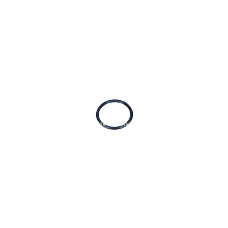 NRF Thermostat,Coolant 725324