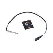 NRF Exhaust Gas Temperature Sensor after soot particulate 707166
