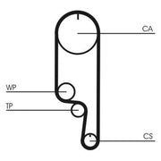 Continental CTAM Timing Belt Kit with Rollers CT1008K1