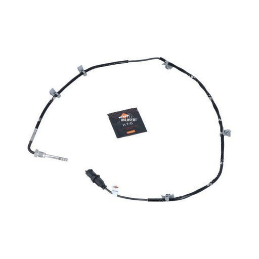 NRF Exhaust Gas Temperature Sensor before soot particulate 707105