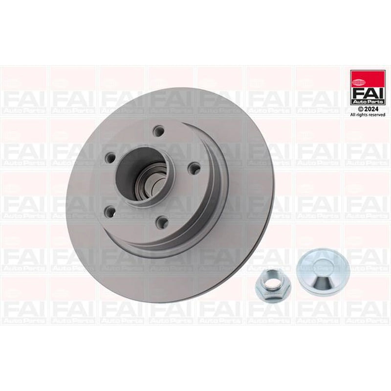 FAI 2 x Solid Rear Brake Discs BD137
