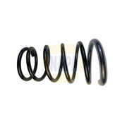 NAPA Rear Suspension Coil Spring NCS1819