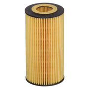 Hengst Engine Oil Filter E27H D125