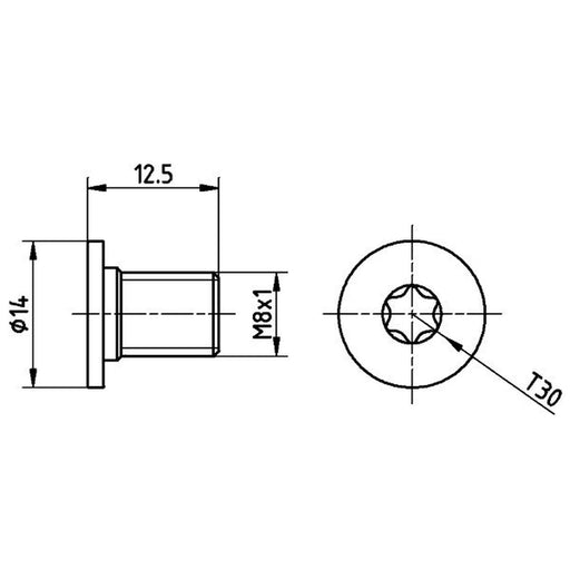 Textar 2 x Front Brake Disc Bolt TPM0002