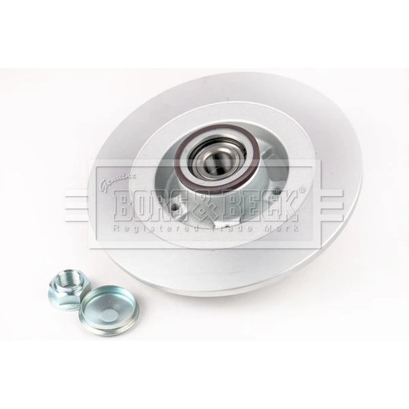 Borg & Beck 2 x Solid Rear Brake Discs BBD6231S