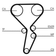 Continental CTAM Timing Belt Kit with Rollers CT1179K3