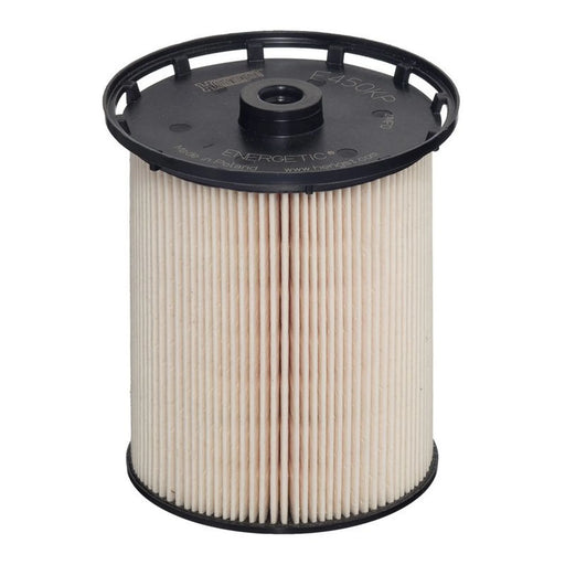 Hengst Fuel Filter Element E450KP D348