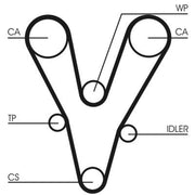 Continental CTAM Timing Belt Cambelt 176 Teeth CT1096