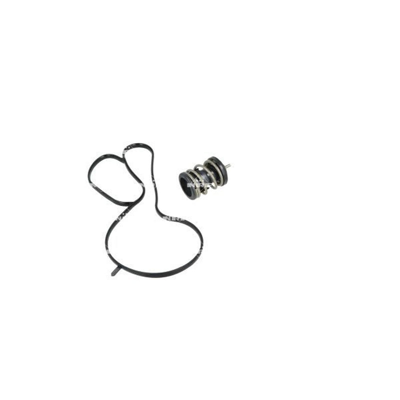 NRF Thermostat,Coolant 725444