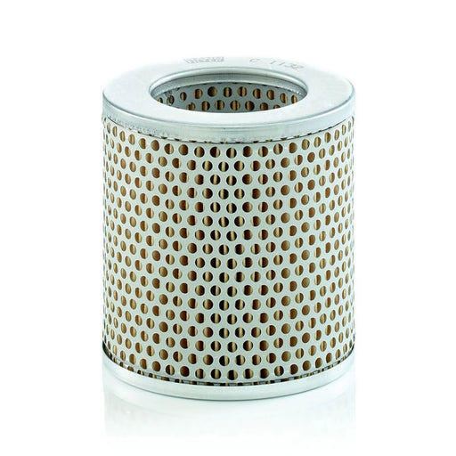 MANN-FILTER Engine Air Filter C 1132 OE 0223889 81083040042 8803777 29504036