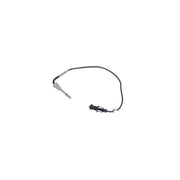 NRF Exhaust Gas Temperature Sensor before soot particulate f 707168