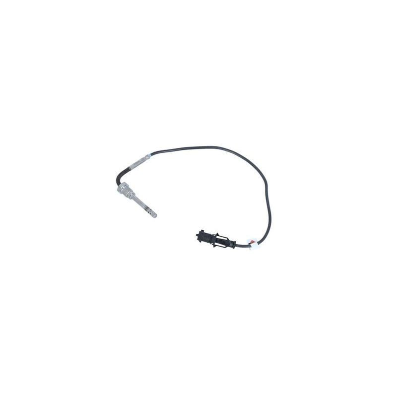 NRF Exhaust Gas Temperature Sensor before soot particulate f 707168