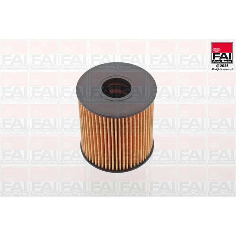 FAI Engine Oil Filter OF101