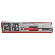 Teng Tools Torque Wrench Set 22 Pieces 20-110 Nm TTX4