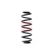 Apec 2 x Suspension Springs ACS1771