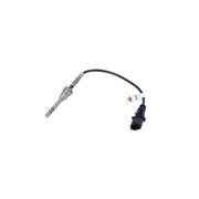 NRF Exhaust Gas Temperature Sensor before soot particulate f 707099