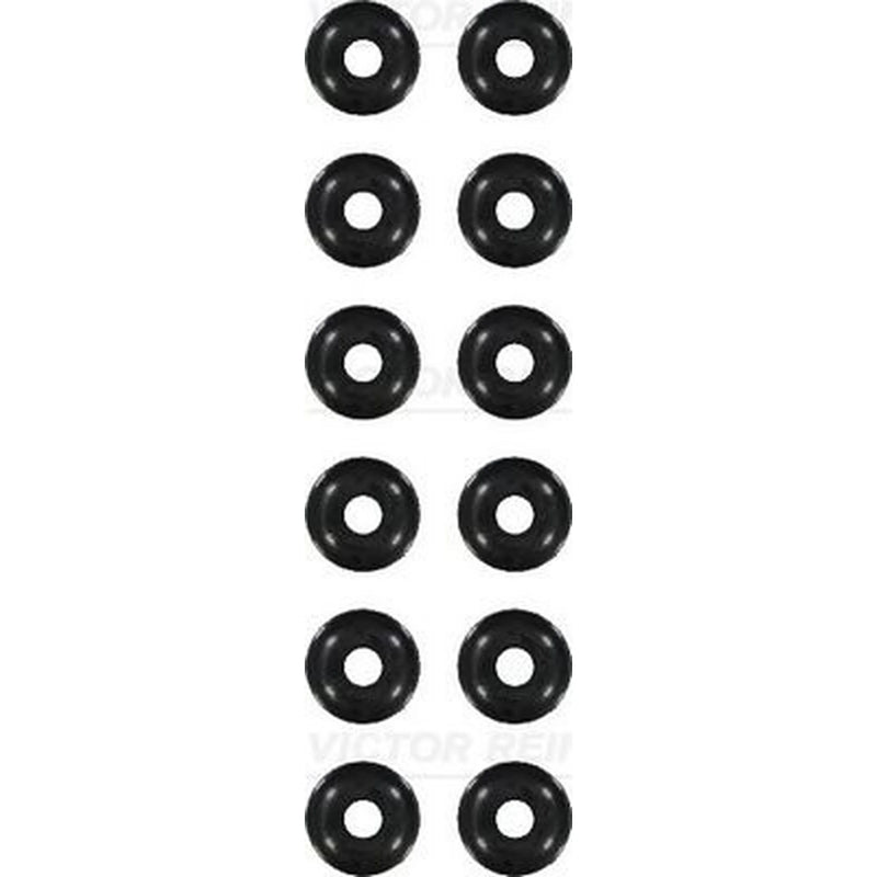 Victor Reinz Valve Stem Seal Set ID High 12-21569-02
