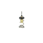 NRF Thermostat,Coolant 725093