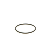 Bosch Rubber Seal Ring F 00N 202 130