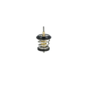 NRF Thermostat,Coolant 725250