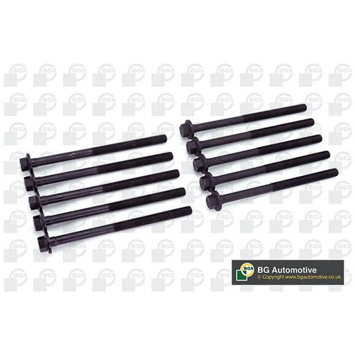 BGA Cylinder Head Bolt Set M11 BK4349